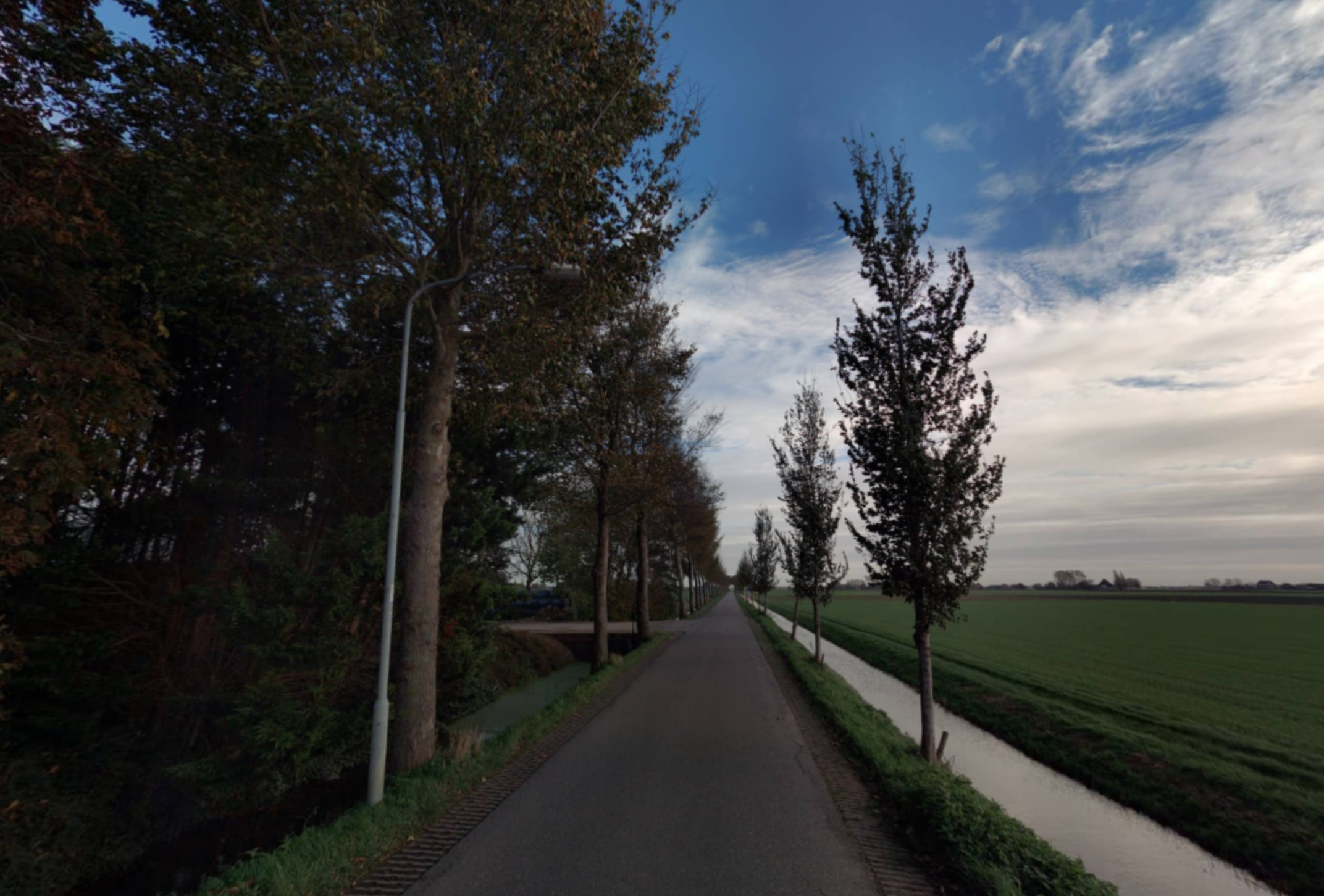 Hoogheemraadschap kapt in Spierdijk en Twisk 70 bomen met iepziekte